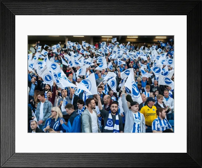 Framed Print : Brighton and Hove Albion Fans Wave Flags in Play-Off Tension (16MAY16) Framed Print : Brighton and Hove Albion Fans Wave Flags in Play-Off Tension (16MAY16)