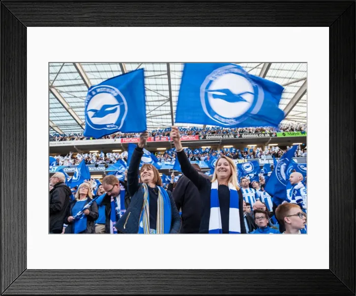 Framed Print : Brighton and Hove Albion Fans Unite: Play-Off Tension Against Sheffield Wednesday (16 May 2016) Framed Print : Brighton and Hove Albion Fans Unite: Play-Off Tension Against Sheffield Wednesday (16 May 2016)