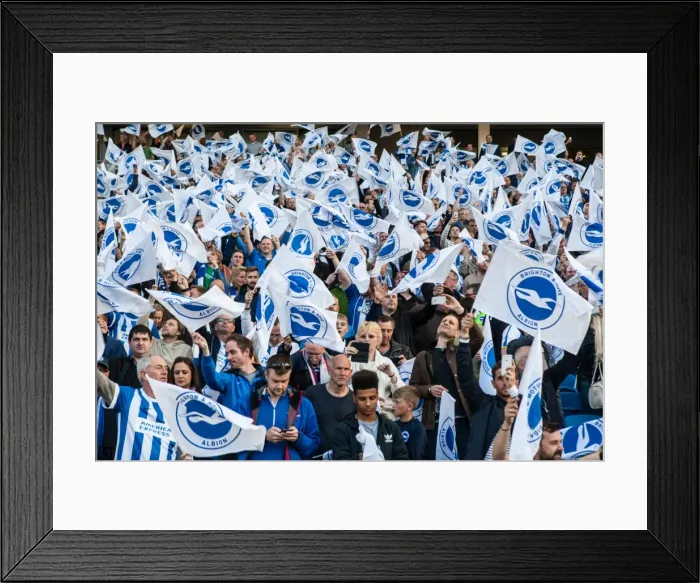 Framed Print : Brighton and Hove Albion Fans in Play-Off Frenzy: Sky Bet Championship Clash vs. Sheffield Wednesday (16MAY16) Framed Print : Brighton and Hove Albion Fans in Play-Off Frenzy: Sky Bet Championship Clash vs. Sheffield Wednesday (16MAY16)