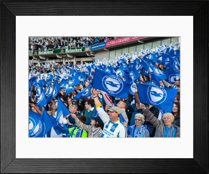 Framed Print : Brighton and Hove Albion Fans Wave Flags in Play-Off Tension: Sky Bet Championship Final Showdown (16MAY16) Framed Print : Brighton and Hove Albion Fans Wave Flags in Play-Off Tension: Sky Bet Championship Final Showdown (16MAY16)