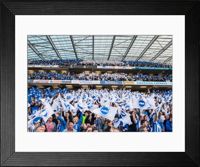 Framed Print : Brighton and Hove Albion Fans Wave Flags in Play-Off Tension: Sky Bet Championship Showdown vs. Sheffield Wednesday (16MAY16) Framed Print : Brighton and Hove Albion Fans Wave Flags in Play-Off Tension: Sky Bet Championship Showdown vs. Sheffield Wednesday (16MAY16)