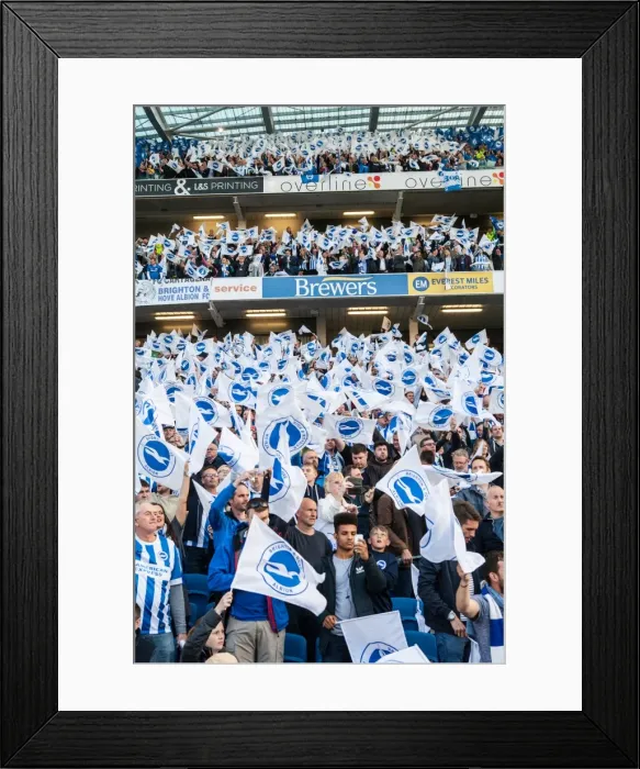 Framed Print : Brighton and Hove Albion Fans Wave Flags in Play-Off Tension (16May16) Framed Print : Brighton and Hove Albion Fans Wave Flags in Play-Off Tension (16May16)