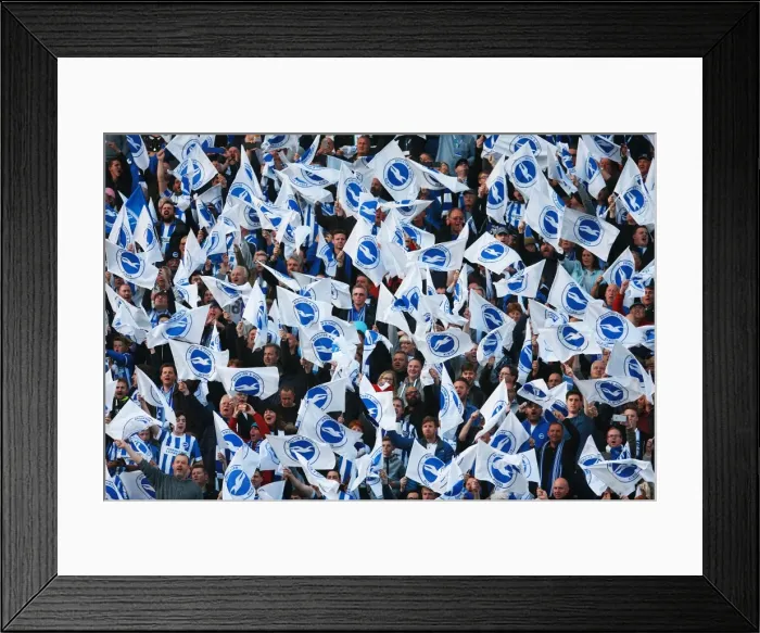 Framed Print : Brighton and Hove Albion Fans Unite: Play-Off Tension at Sky Bet Championship Clash vs. Sheffield Wednesday (16 May 2016) Framed Print : Brighton and Hove Albion Fans Unite: Play-Off Tension at Sky Bet Championship Clash vs. Sheffield Wednesday (16 May 2016)