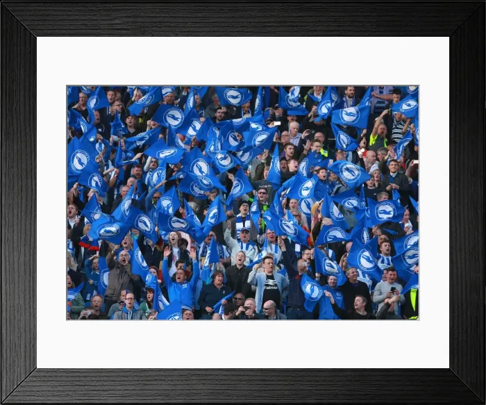 Framed Print : Brighton and Hove Albion Fans Unite: Play-Off Tension at American Express Community Stadium (16MAY16) Framed Print : Brighton and Hove Albion Fans Unite: Play-Off Tension at American Express Community Stadium (16MAY16)