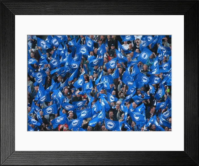 Framed Print : Brighton and Hove Albion Fans Wave Flags in Play-Off Tension (16MAY16) Framed Print : Brighton and Hove Albion Fans Wave Flags in Play-Off Tension (16MAY16)