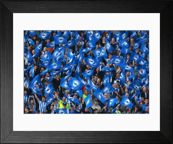 Framed Print : Brighton and Hove Albion Fans Unite: Play-Off Tension at American Express Community Stadium (16MAY16) Framed Print : Brighton and Hove Albion Fans Unite: Play-Off Tension at American Express Community Stadium (16MAY16)