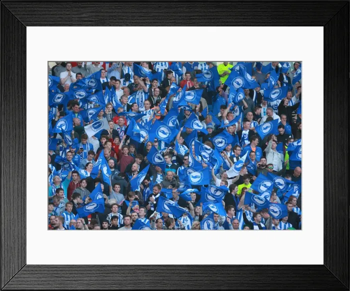 Framed Print : Brighton and Hove Albion Fans Unite: Play-Off Tension at American Express Community Stadium (16MAY16) Framed Print : Brighton and Hove Albion Fans Unite: Play-Off Tension at American Express Community Stadium (16MAY16)