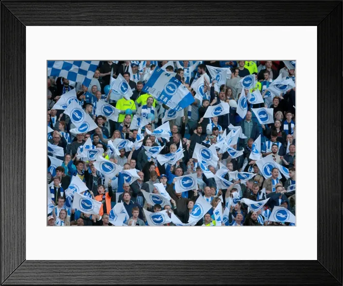 Framed Print : Brighton and Hove Albion Fans in Play-Off Frenzy: Sky Bet Championship Clash vs. Sheffield Wednesday (16MAY16) Framed Print : Brighton and Hove Albion Fans in Play-Off Frenzy: Sky Bet Championship Clash vs. Sheffield Wednesday (16MAY16)