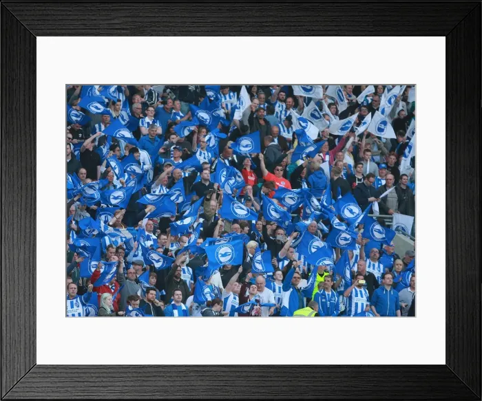 Framed Print : Brighton and Hove Albion Fans Unite: Play-Off Tension at American Express Community Stadium (16MAY16) Framed Print : Brighton and Hove Albion Fans Unite: Play-Off Tension at American Express Community Stadium (16MAY16)