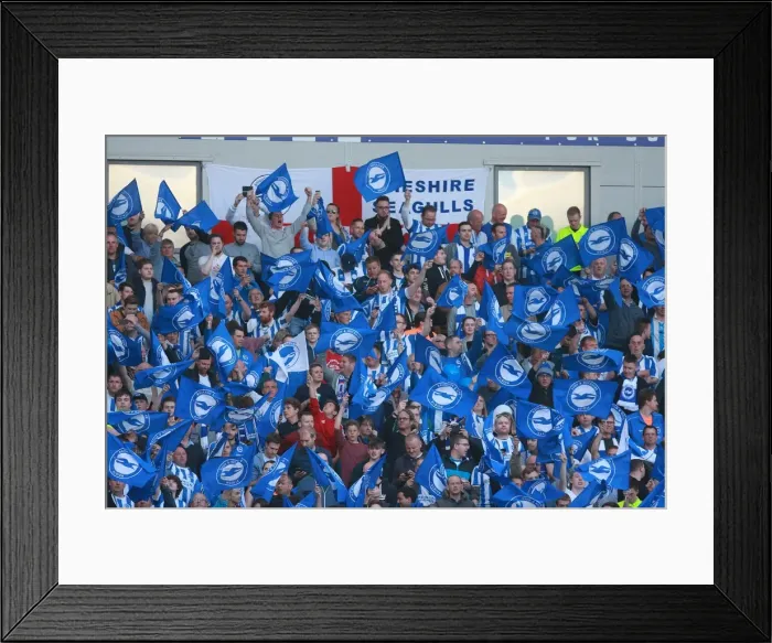 Framed Print : Brighton and Hove Albion Fans Unite: Play-Off Tension at American Express Community Stadium (16MAY16) Framed Print : Brighton and Hove Albion Fans Unite: Play-Off Tension at American Express Community Stadium (16MAY16)