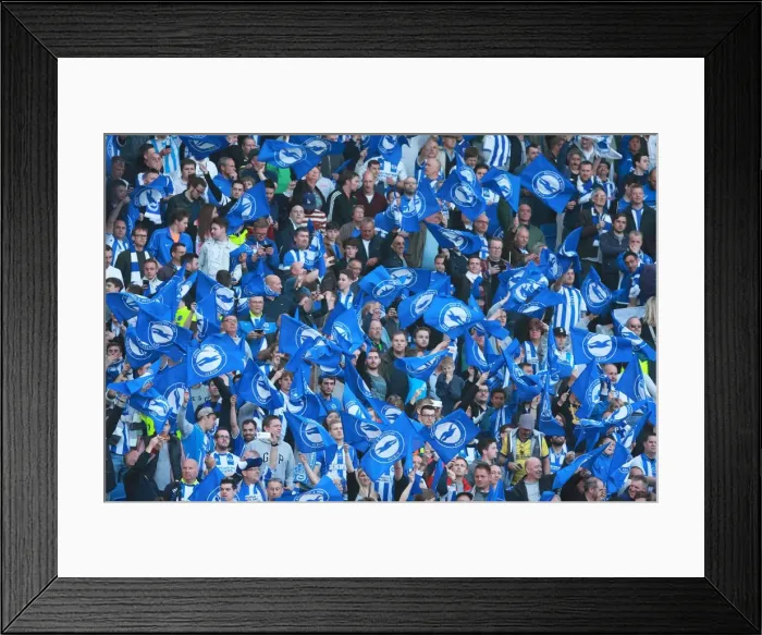 Framed Print : Brighton and Hove Albion Fans in Play-Off Frenzy: Waving Flags Against Sheffield Wednesday (16 May 2016)
