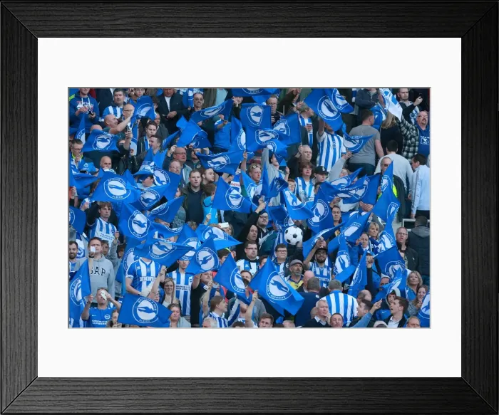Framed Print : Brighton and Hove Albion Fans Unite: Play-Off Tension at the American Express Community Stadium (16MAY16) Framed Print : Brighton and Hove Albion Fans Unite: Play-Off Tension at the American Express Community Stadium (16MAY16)