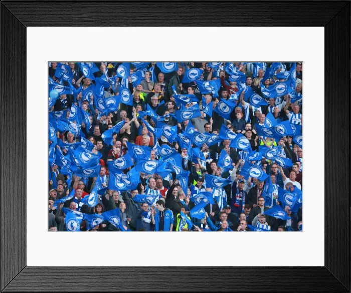 Framed Print : Brighton and Hove Albion Fans Unite: Play-Off Tension at American Express Community Stadium (16MAY16) Framed Print : Brighton and Hove Albion Fans Unite: Play-Off Tension at American Express Community Stadium (16MAY16)