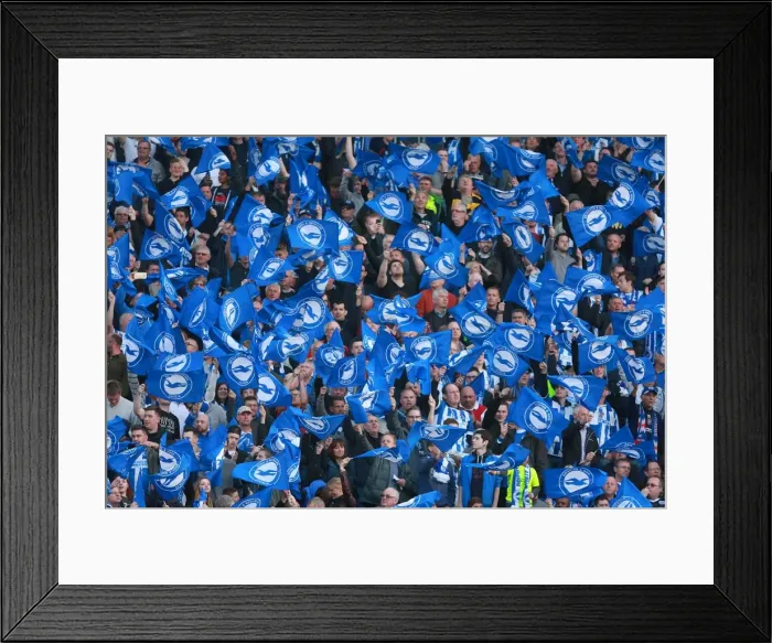 Framed Print : Brighton and Hove Albion Fans in Play-Off Frenzy: Sky Bet Championship Clash vs. Sheffield Wednesday (16MAY16) Framed Print : Brighton and Hove Albion Fans in Play-Off Frenzy: Sky Bet Championship Clash vs. Sheffield Wednesday (16MAY16)