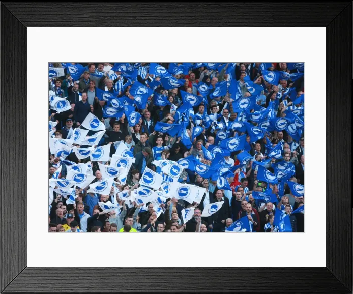 Framed Print : Brighton and Hove Albion Fans Unite: Play-Off Tension at American Express Community Stadium (16MAY16) Framed Print : Brighton and Hove Albion Fans Unite: Play-Off Tension at American Express Community Stadium (16MAY16)