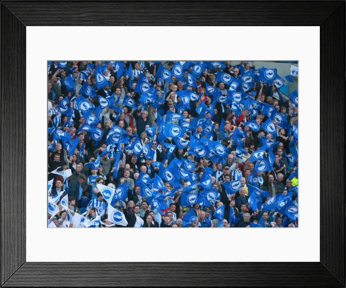 Framed Print : Brighton and Hove Albion Fans Unite: Play-Off Tension at American Express Community Stadium (16MAY16) Framed Print : Brighton and Hove Albion Fans Unite: Play-Off Tension at American Express Community Stadium (16MAY16)
