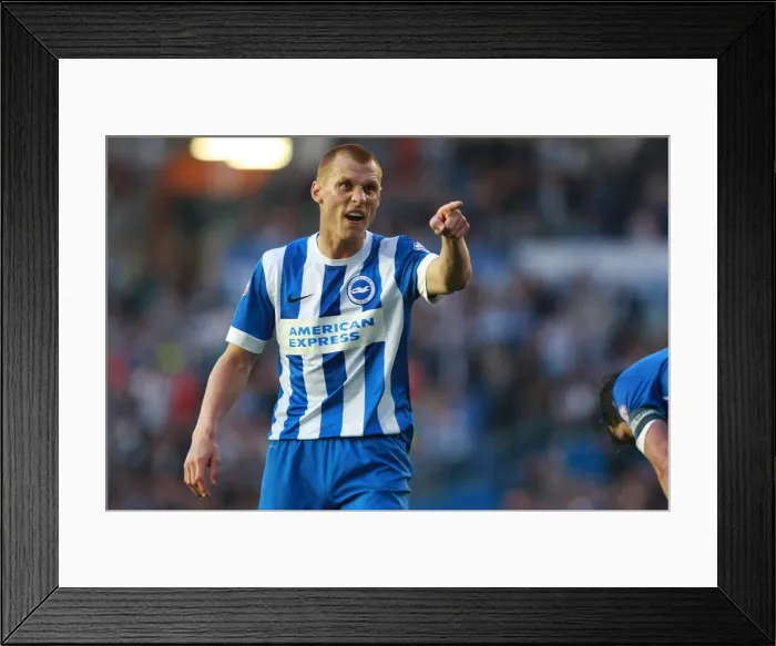 Framed Print : Brighton and Hove Albion's Steve Sidwell in Play-Off Tension: Brighton v Sheffield Wednesday, May 2016 Framed Print : Brighton and Hove Albion's Steve Sidwell in Play-Off Tension: Brighton v Sheffield Wednesday, May 2016