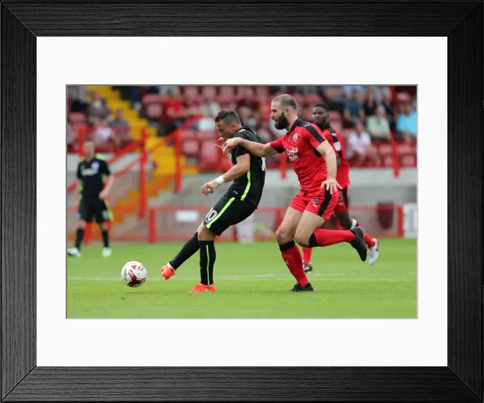 Framed Print : Brighton and Hove Albion's Pre-season Challenge: A Look into the EFL Sky Bet Championship Battle at Crawley Town (16th July 2016) Framed Print : Brighton and Hove Albion's Pre-season Challenge: A Look into the EFL Sky Bet Championship Battle at Crawley Town (16th July 2016)
