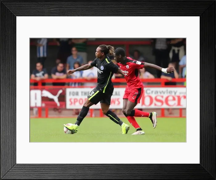 Framed Print : Brighton and Hove Albion's Pre-season Challenge: A Look at the Action against Crawley Town at Checkatrade Stadium (16th July 2016) Framed Print : Brighton and Hove Albion's Pre-season Challenge: A Look at the Action against Crawley Town at Checkatrade Stadium (16th July 2016)