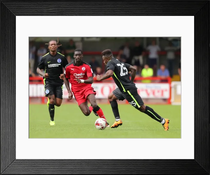 Framed Print : Brighton and Hove Albion's Pre-season Challenge: A Look into the EFL Sky Bet Championship Build-up vs. Crawley Town (July 16, 2016) Framed Print : Brighton and Hove Albion's Pre-season Challenge: A Look into the EFL Sky Bet Championship Build-up vs. Crawley Town (July 16, 2016)