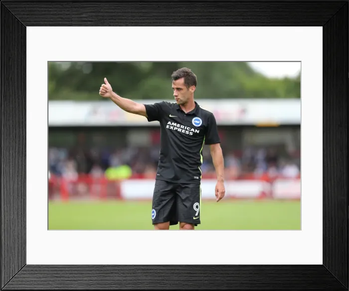 Framed Print : Brighton and Hove Albion's Pre-season Challenge at Crawley Town: A Look into the EFL Sky Bet Championship Clash (16JUL16) Framed Print : Brighton and Hove Albion's Pre-season Challenge at Crawley Town: A Look into the EFL Sky Bet Championship Clash (16JUL16)