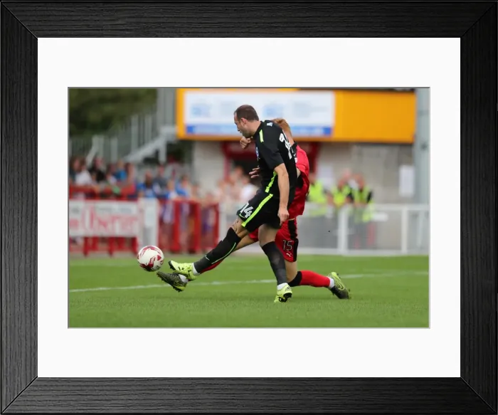 Framed Print : Brighton and Hove Albion's Pre-season Challenge: Crawley Town vs. Brighton (16th July 2016)