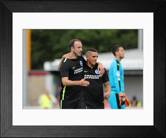Framed Print : Brighton and Hove Albion's Pre-season Challenge: A Look at the Action against Crawley Town at Checkatrade Stadium (16th July 2016) Framed Print : Brighton and Hove Albion's Pre-season Challenge: A Look at the Action against Crawley Town at Checkatrade Stadium (16th July 2016)