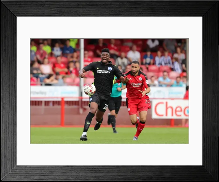 Framed Print : Brighton and Hove Albion Face Crawley Town in Pre-Season Friendly at Checkatrade Stadium (16th July 2016) Framed Print : Brighton and Hove Albion Face Crawley Town in Pre-Season Friendly at Checkatrade Stadium (16th July 2016)