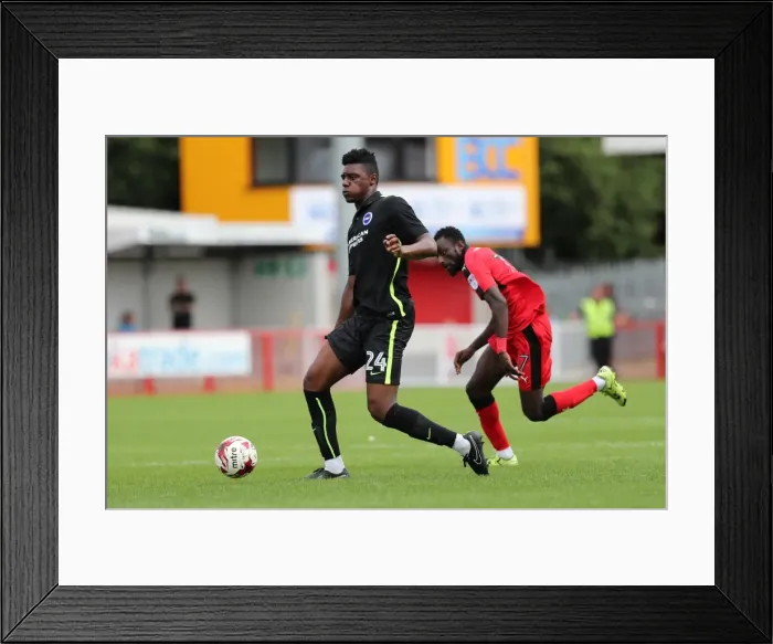 Framed Print : Brighton and Hove Albion's Pre-season Challenge: A Look into the EFL Sky Bet Championship Battle at Crawley Town (16th July 2016) Framed Print : Brighton and Hove Albion's Pre-season Challenge: A Look into the EFL Sky Bet Championship Battle at Crawley Town (16th July 2016)
