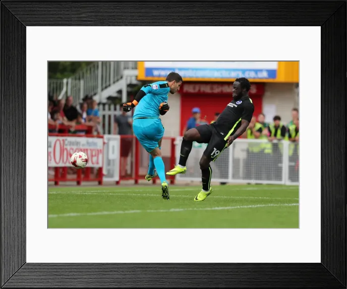 Framed Print : Brighton and Hove Albion vs. Crawley Town: Pre-Season Friendly at Checkatrade Stadium (16th July 2016)