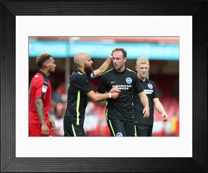 Framed Print : Brighton and Hove Albion Face Crawley Town in Pre-Season Friendly at Checkatrade Stadium (16th July 2016) Framed Print : Brighton and Hove Albion Face Crawley Town in Pre-Season Friendly at Checkatrade Stadium (16th July 2016)