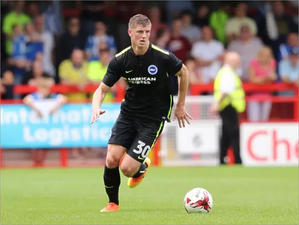 Brighton and Hove Albion's Pre-season Challenge: A Look at the Action against Crawley Town at Checkatrade Stadium (July 16, 2016)