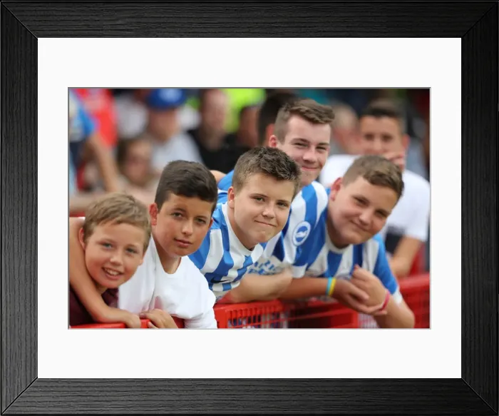 Framed Print : Brighton and Hove Albion's Pre-season Challenge: Crawley Town vs. Brighton (16th July 2016) Framed Print : Brighton and Hove Albion's Pre-season Challenge: Crawley Town vs. Brighton (16th July 2016)