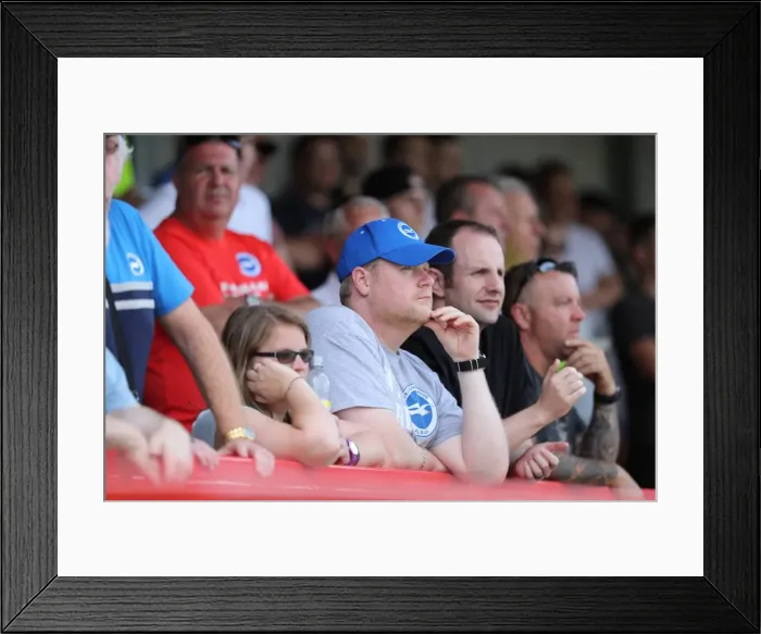 Framed Print : Brighton and Hove Albion vs Crawley Town: Pre-Season Clash at Checkatrade Stadium (16th July 2016) Framed Print : Brighton and Hove Albion vs Crawley Town: Pre-Season Clash at Checkatrade Stadium (16th July 2016)
