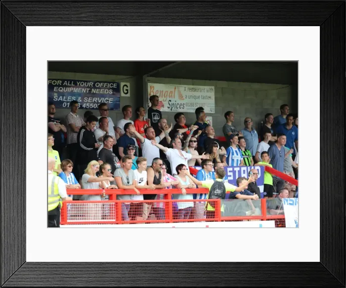 Framed Print : Brighton and Hove Albion's Pre-season Challenge: A Look at the Action against Crawley Town at Checkatrade Stadium (16th July 2016) Framed Print : Brighton and Hove Albion's Pre-season Challenge: A Look at the Action against Crawley Town at Checkatrade Stadium (16th July 2016)