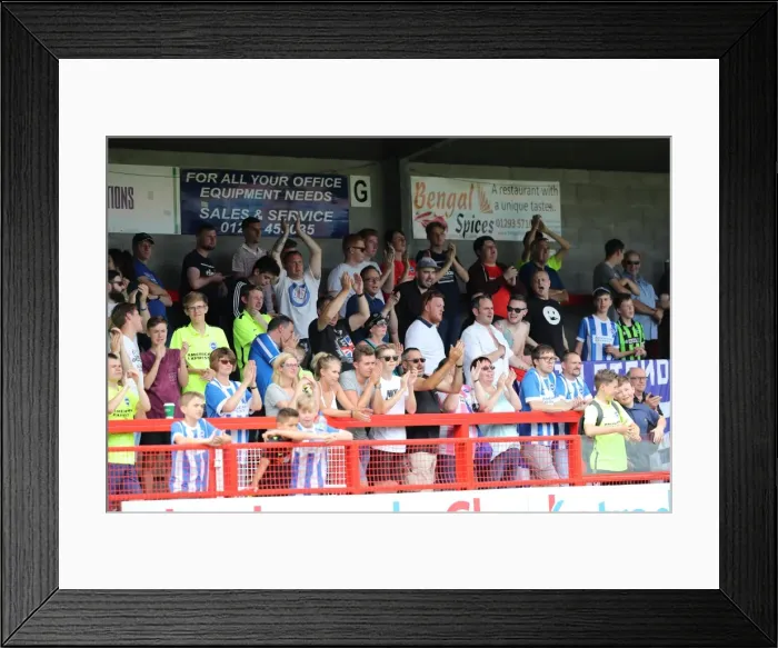 Framed Print : Brighton and Hove Albion's Pre-season Challenge: A Look into the Championship Battle - Crawley Town vs. Brighton (16th July 2016)