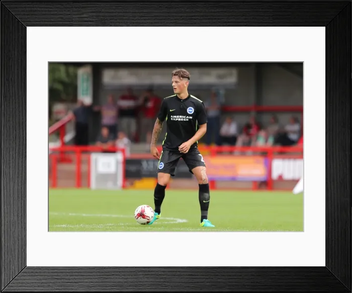 Framed Print : Brighton and Hove Albion's Pre-season Challenge: A Look at the Action against Crawley Town at Checkatrade Stadium (16th July 2016) Framed Print : Brighton and Hove Albion's Pre-season Challenge: A Look at the Action against Crawley Town at Checkatrade Stadium (16th July 2016)