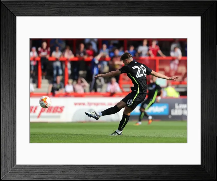 Framed Print : Intense Pre-season Training: Brighton and Hove Albion at Stevenage (23JUL16) Framed Print : Intense Pre-season Training: Brighton and Hove Albion at Stevenage (23JUL16)