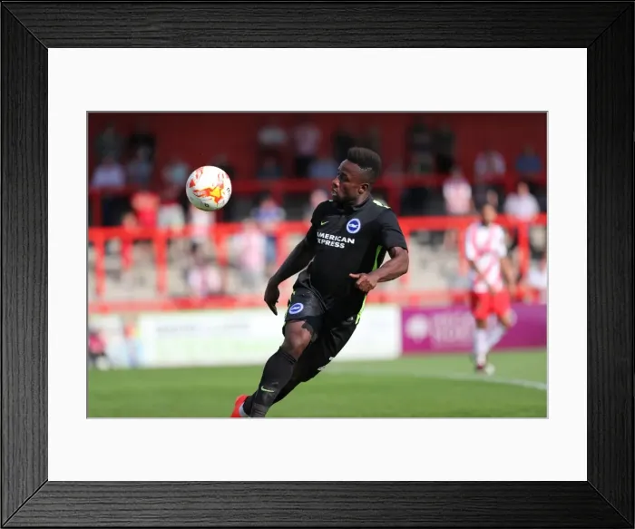 Framed Print : Pre-Season Friendly: Brighton & Hove Albion vs. Stevenage at The Lamex Stadium (23 / 07 / 2016) Framed Print : Pre-Season Friendly: Brighton & Hove Albion vs. Stevenage at The Lamex Stadium (23 / 07 / 2016)