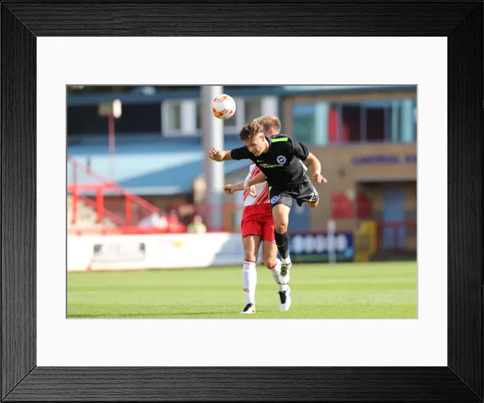 Framed Print : Brighton and Hove Albion's Pre-season Clash at Stevenage: The Lamex Stadium (23JUL16) Framed Print : Brighton and Hove Albion's Pre-season Clash at Stevenage: The Lamex Stadium (23JUL16)