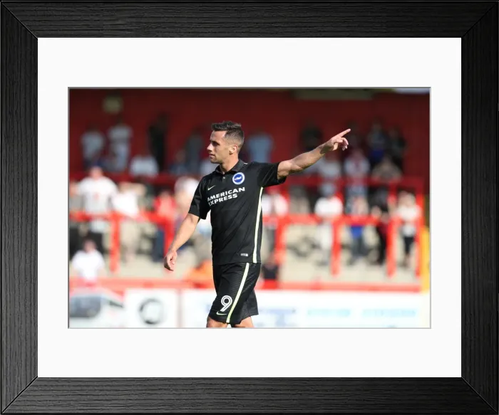 Framed Print : Brighton and Hove Albion's Pre-Season Clash at Stevenage: The Lamex Stadium Showdown (23rd July 2016)