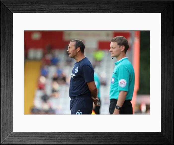 Framed Print : Brighton and Hove Albion's Pre-season Challenge at Stevenage: The Lamex Stadium (23JUL16) Framed Print : Brighton and Hove Albion's Pre-season Challenge at Stevenage: The Lamex Stadium (23JUL16)