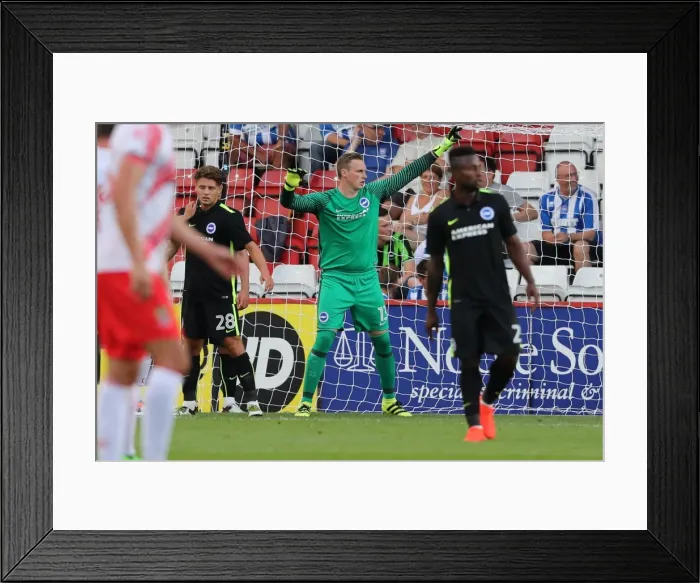 Framed Print : Brighton and Hove Albion Pre-Season: The Lamex Stadium Showdown vs. Stevenage (23JUL16) Framed Print : Brighton and Hove Albion Pre-Season: The Lamex Stadium Showdown vs. Stevenage (23JUL16)