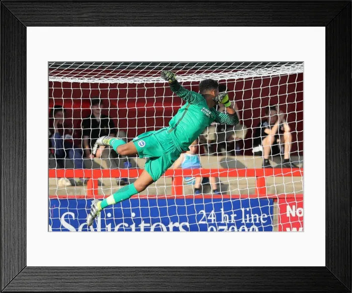 Framed Print : Brighton and Hove Albion's Pre-Season Training: A Look into the Championship Battle - Stevenage vs. Brighton (23rd July 2016) Framed Print : Brighton and Hove Albion's Pre-Season Training: A Look into the Championship Battle - Stevenage vs. Brighton (23rd July 2016)