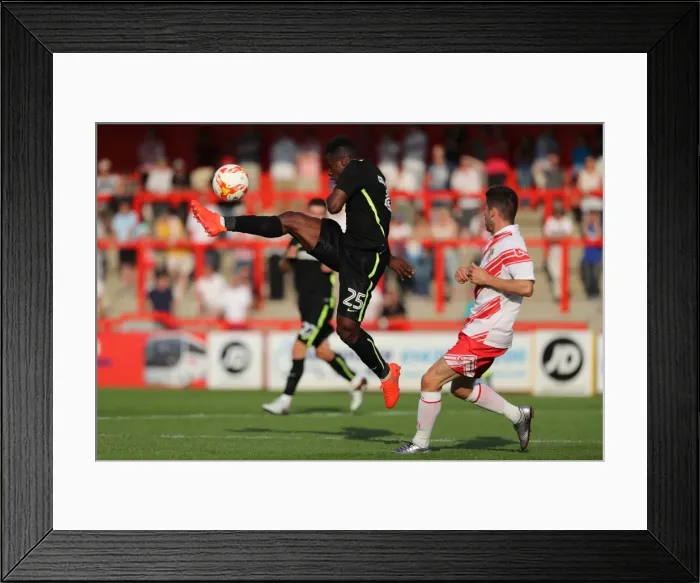 Framed Print : Brighton and Hove Albion's Pre-season Clash at Stevenage: The Lamex Stadium (23JUL16) Framed Print : Brighton and Hove Albion's Pre-season Clash at Stevenage: The Lamex Stadium (23JUL16)