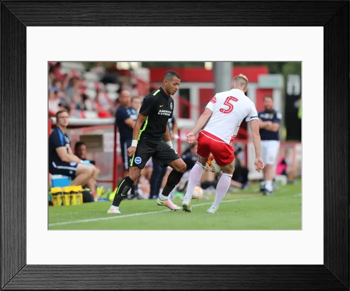 Framed Print : Intense Pre-season Training: Brighton and Hove Albion at Stevenage (23JUL16) Framed Print : Intense Pre-season Training: Brighton and Hove Albion at Stevenage (23JUL16)