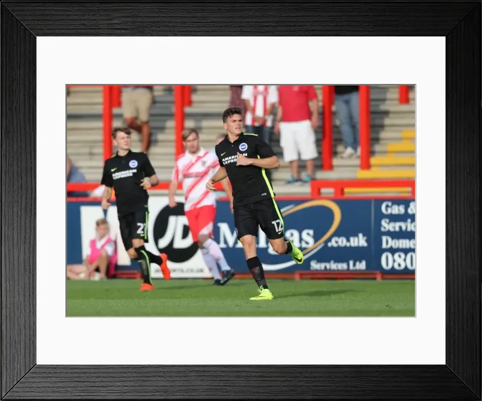 Framed Print : Brighton and Hove Albion's Pre-Season Battle at Lamex Stadium (23JUL16) Framed Print : Brighton and Hove Albion's Pre-Season Battle at Lamex Stadium (23JUL16)