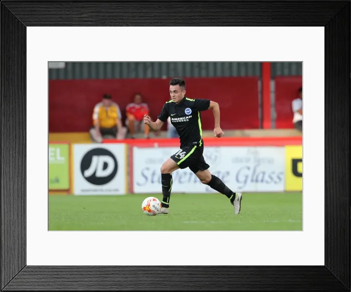 Framed Print : Brighton and Hove Albion's Pre-season Challenge at Stevenage, 23rd July 2016 Framed Print : Brighton and Hove Albion's Pre-season Challenge at Stevenage, 23rd July 2016
