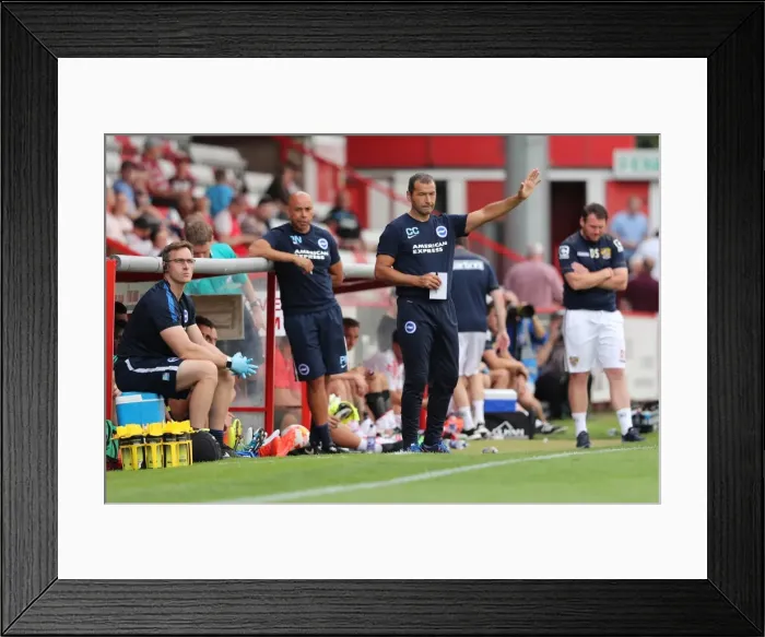 Framed Print : Brighton and Hove Albion's Pre-season Clash at Stevenage: The Lamex Stadium (23JUL16) Framed Print : Brighton and Hove Albion's Pre-season Clash at Stevenage: The Lamex Stadium (23JUL16)