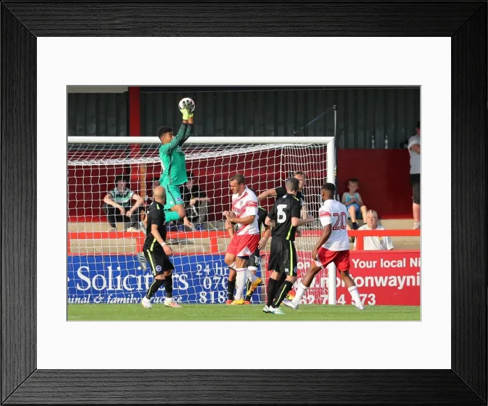 Framed Print : Pre-Season Friendly: Brighton & Hove Albion vs. Stevenage at The Lamex Stadium (23rd July 2016) Framed Print : Pre-Season Friendly: Brighton & Hove Albion vs. Stevenage at The Lamex Stadium (23rd July 2016)